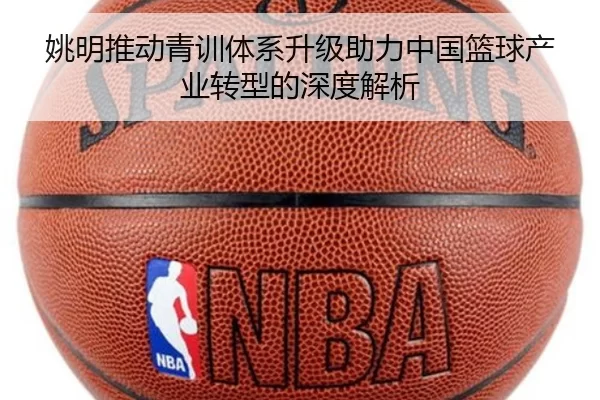 姚明推动青训体系升级助力中国篮球产业转型的深度解析